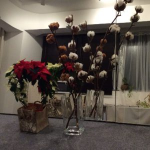 Xmas Wreath Cotton photo クリスマスイベント　リース　コットン　写真