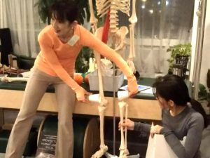 trainer studymeeting pilates yoga instructor Fascia breath hip joint foot knee shoulder movement トレーナー　勉強会 ピラティス ヨガ インストラクター 筋膜 呼吸 背骨 股関節 足関節 膝関節 肩関節 解剖 ムーブメント