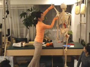 trainer studymeeting pilates yoga instructor Fascia breath hip joint foot knee shoulder movement トレーナー　勉強会 ピラティス ヨガ インストラクター 筋膜 呼吸 背骨 股関節 足関節 膝関節 肩関節 解剖 ムーブメント