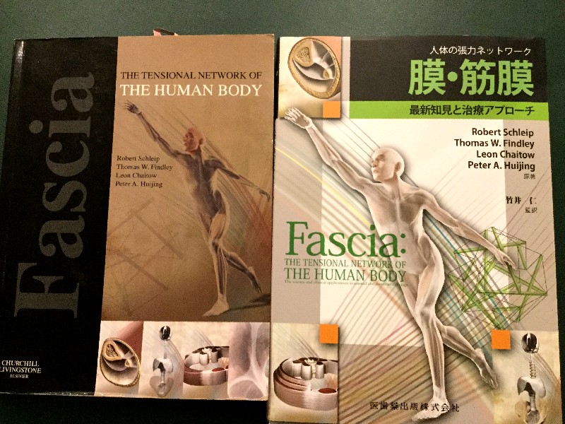 Fascia Book Photo 筋・筋膜 本 写真